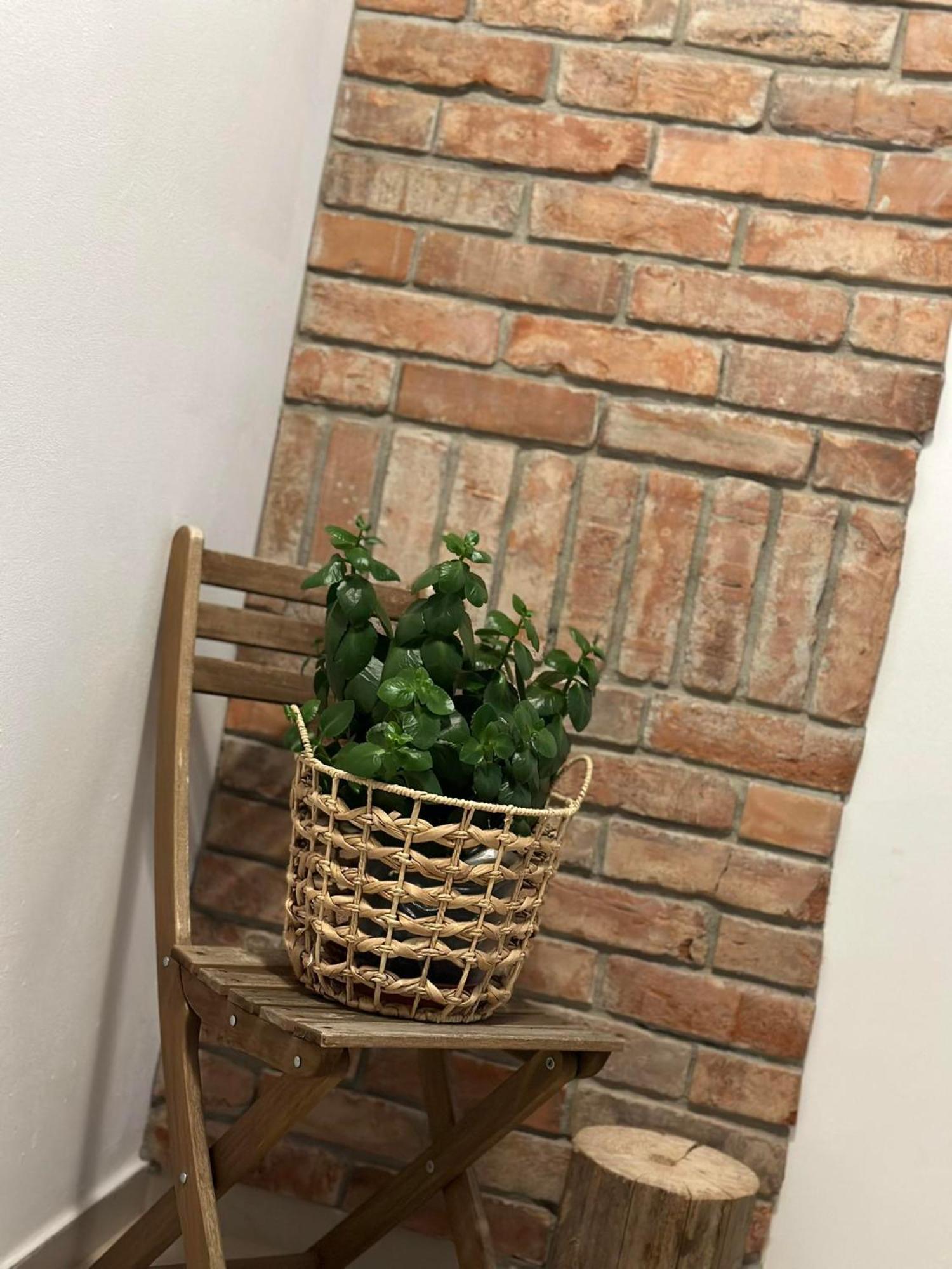 Apartament Fajny Kat Ustrzyki Dolne Eksteriør billede
